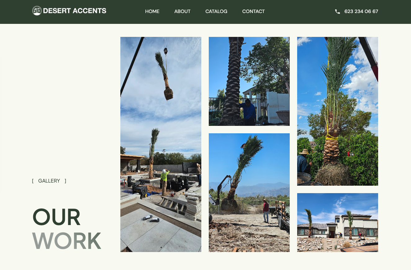 Desert Accents sitio web detalle